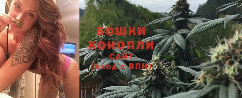 сколько стоит  Михайловка  Бошки Шишки White Widow 